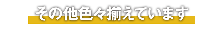 その他色々揃えています