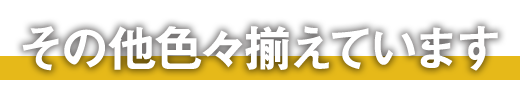 その他色々揃えています